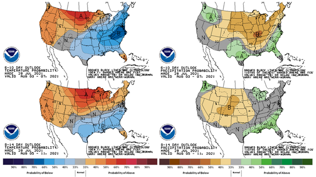 The 6-10 day outlook 